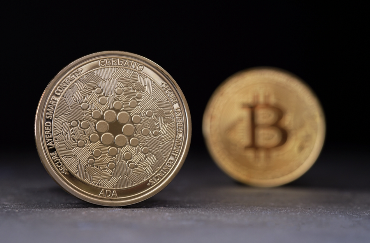 canabit trading platform featured image